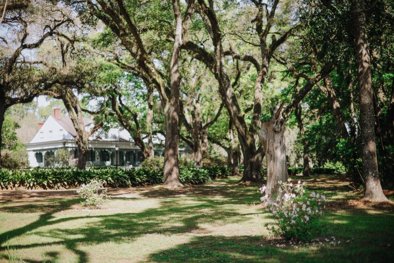 Bed and Breakfast The Myrtles Plantation à Saint Francisville Extérieur photo