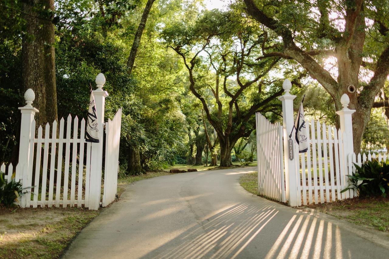 Bed and Breakfast The Myrtles Plantation à Saint Francisville Extérieur photo