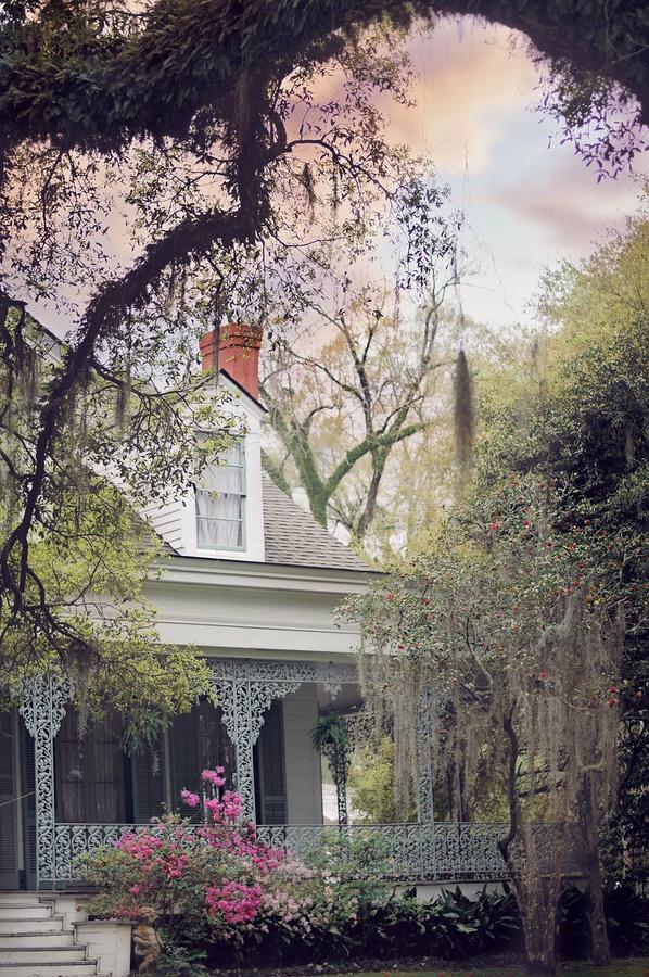 Bed and Breakfast The Myrtles Plantation à Saint Francisville Extérieur photo