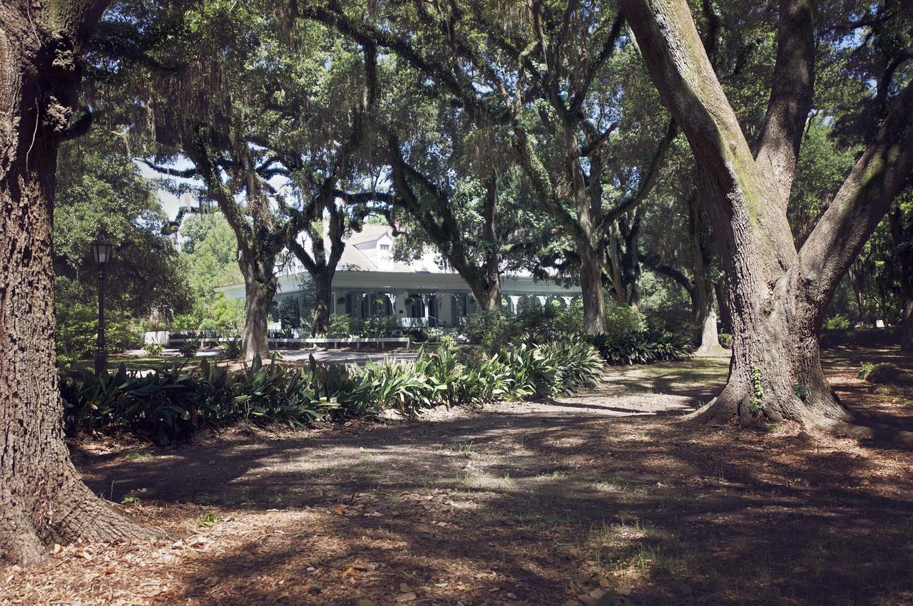 Bed and Breakfast The Myrtles Plantation à Saint Francisville Extérieur photo