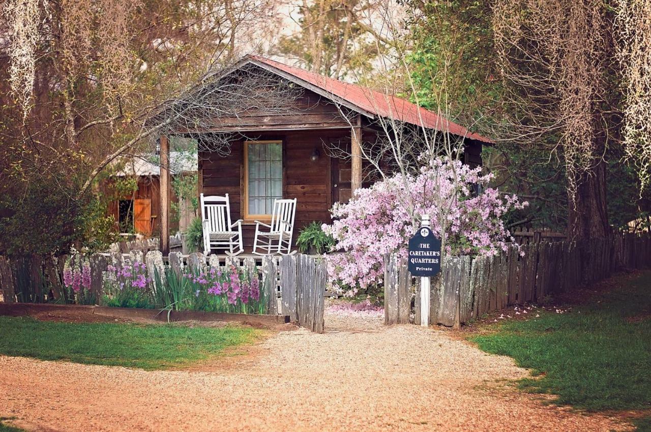 Bed and Breakfast The Myrtles Plantation à Saint Francisville Extérieur photo